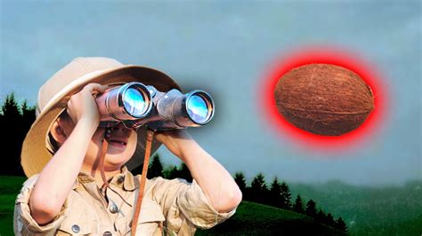 tf2 coconut|people think deleting this coconut breaks tf2 .